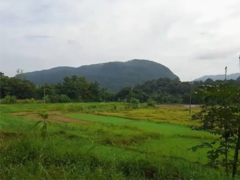 ขายที่ดิน พื้นที่รวม 18-3-5 ไร่ แม่ฮ่องสอน รูปที่ 2