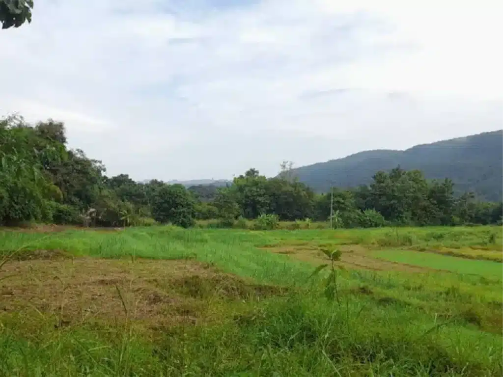 ขายที่ดิน พื้นที่รวม 18-3-5 ไร่ แม่ฮ่องสอน รูปที่ 3