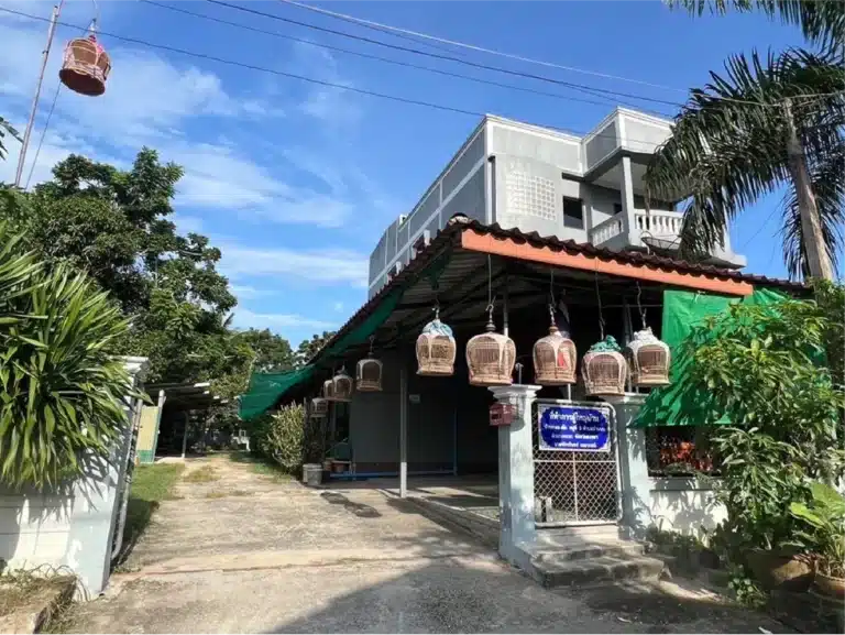 บ้านเดี่ยวตึก 3 ชั้น จะนะ สงขลา รูปที่ 3