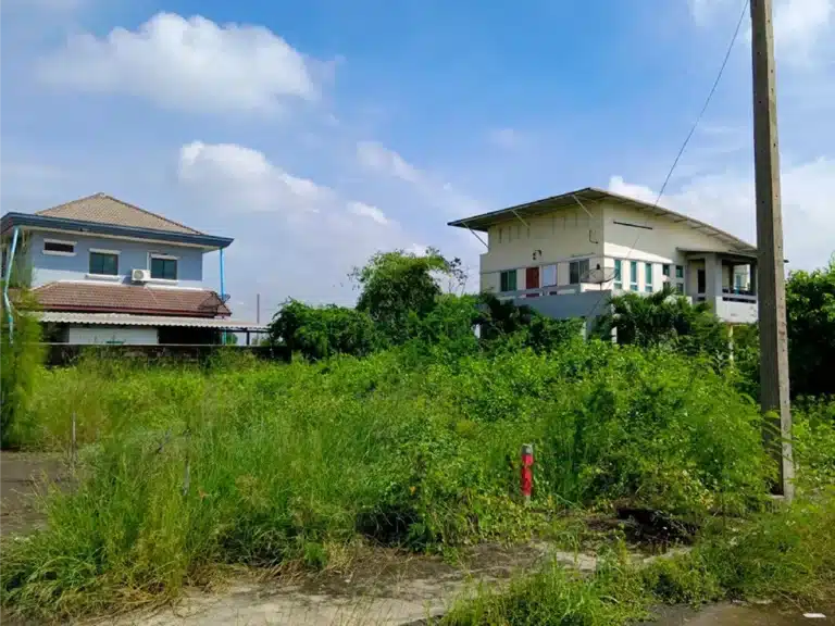 ขายที่ดิน 1 งาน บางหญ้าแพรก สมุทรสาคร รูปที่ 2