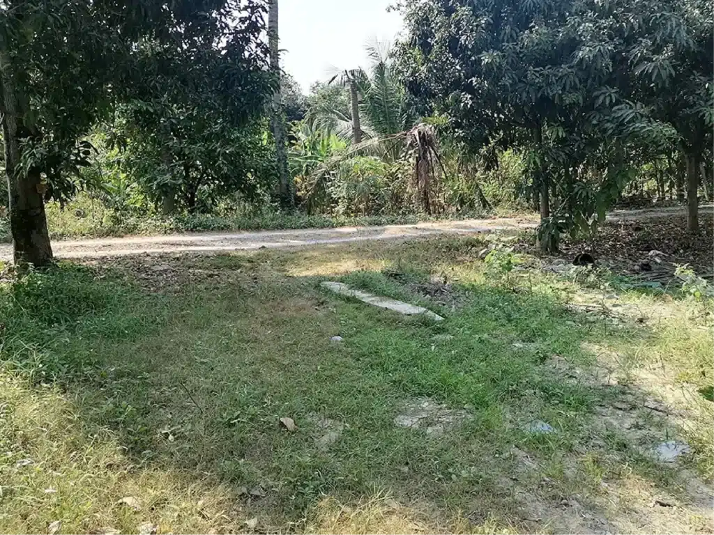 ขายที่ดิน 108 ตร.ว. ซ.วัดศรีราษฎร์ บางใหญ่ นนทบุรี รูปที่ 8