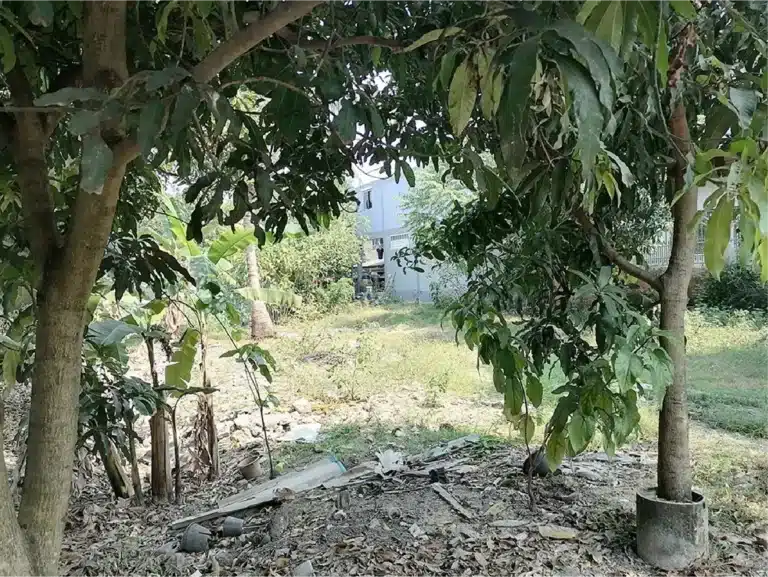 ขายที่ดิน 108 ตร.ว. ซ.วัดศรีราษฎร์ บางใหญ่ นนทบุรี รูปที่ 15