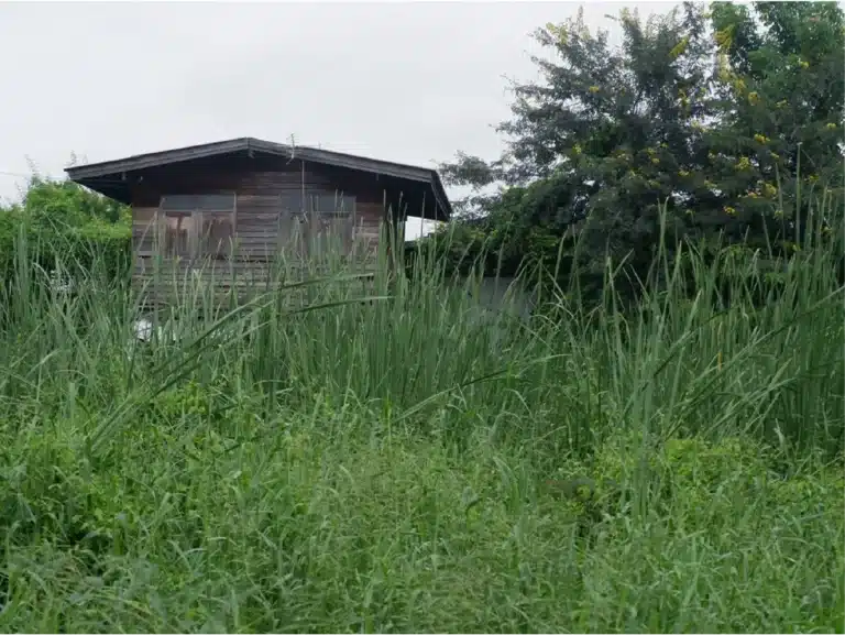 ขายที่ดิน 50 ตร.ว. ดอนเมือง กรุงเทพมหานคร รูปที่ 3