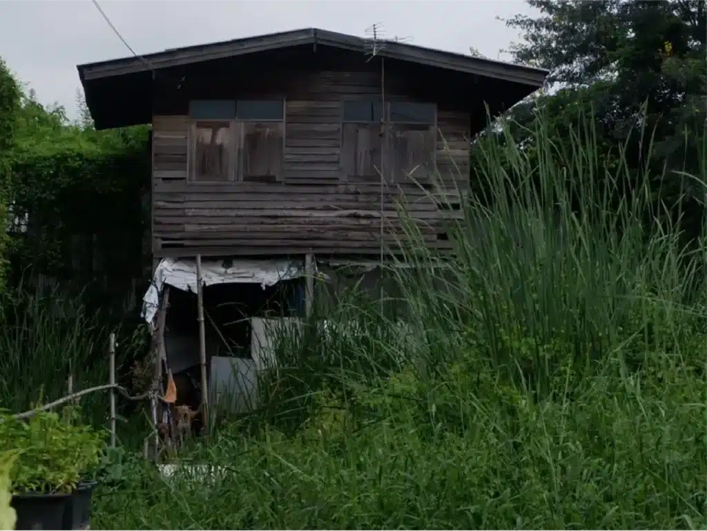 ขายที่ดิน 50 ตร.ว. ดอนเมือง กรุงเทพมหานคร รูปที่ 5