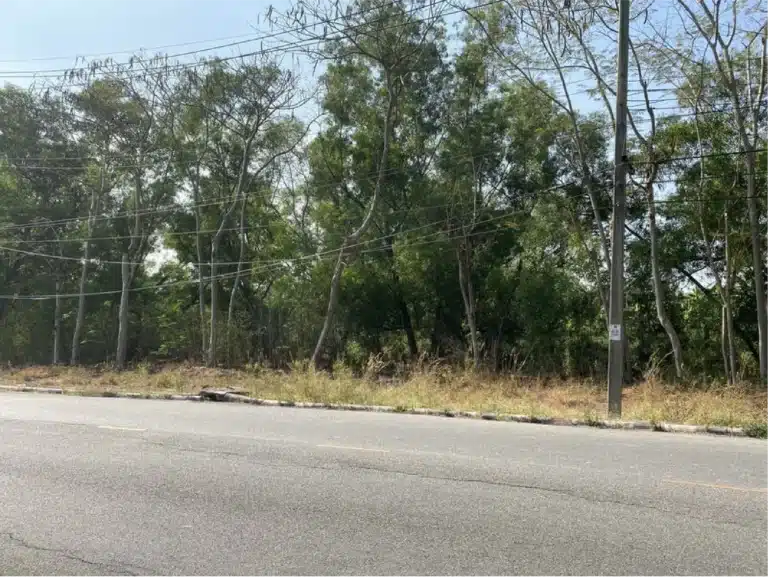ขายที่ดินในสนามกอล์ฟ The Royal Golf & Country Club (1 ไร่ 4 ตร.วา) รูปที่ 4