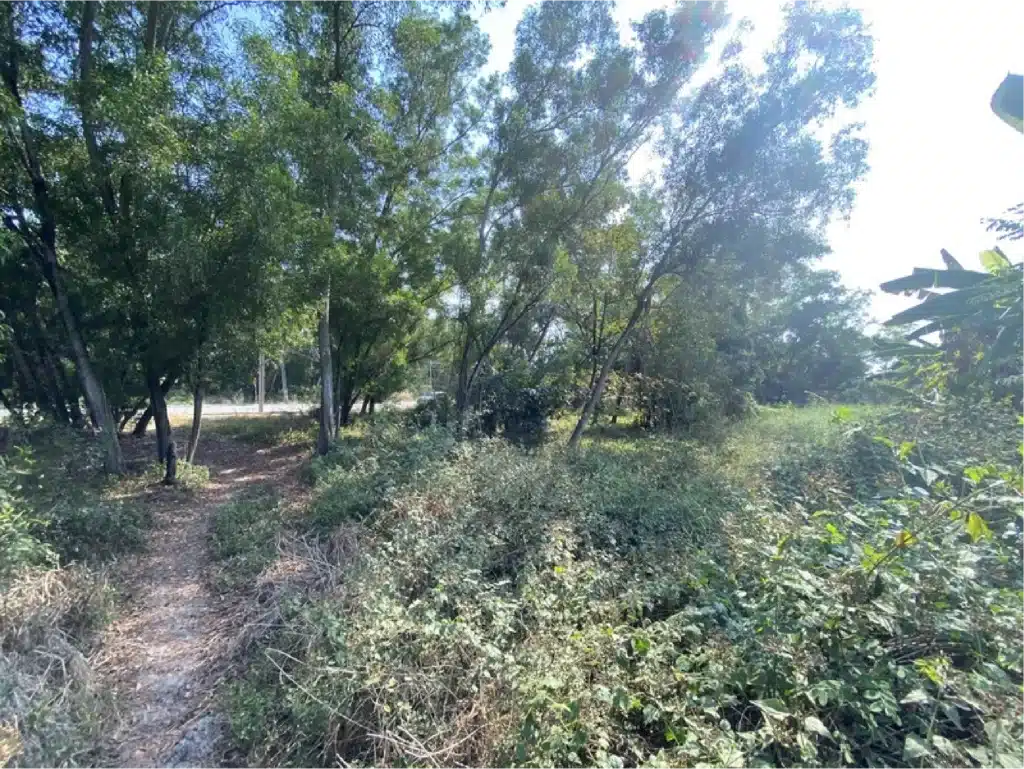 ขายที่ดินในสนามกอล์ฟ The Royal Golf & Country Club (1 ไร่ 4 ตร.วา) รูปที่ 7