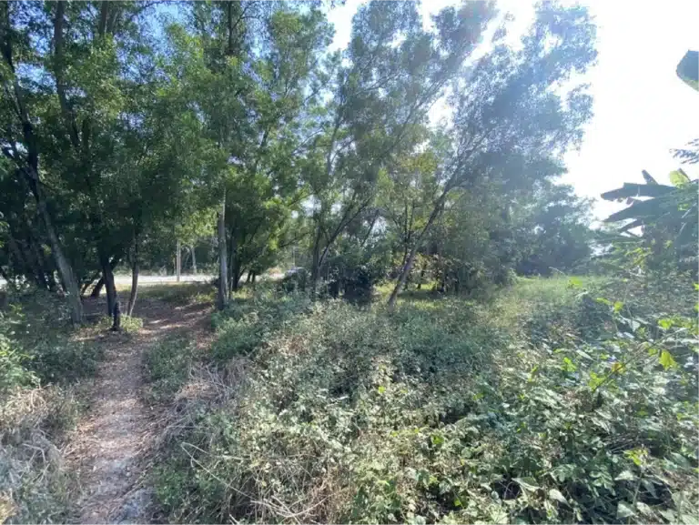 ขายที่ดินในสนามกอล์ฟ The Royal Golf & Country Club (1 ไร่ 4 ตร.วา) รูปที่ 7