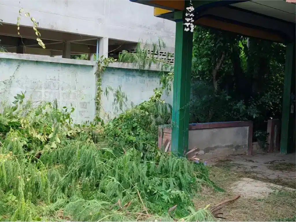 ขายบ้านพร้อมที่ดิน 184 ตร.ว. สุโขทัย รูปที่ 14