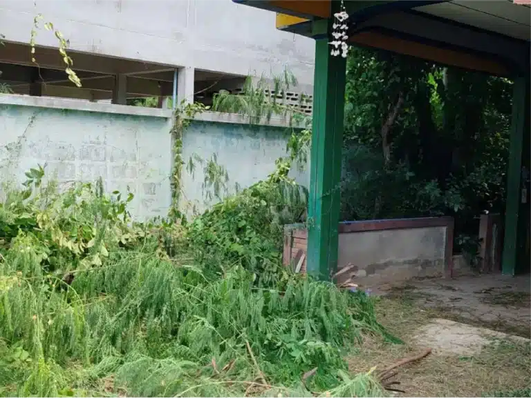 ขายบ้านพร้อมที่ดิน 184 ตร.ว. สุโขทัย รูปที่ 14