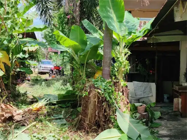 ขายบ้านพร้อมที่ดิน 184 ตร.ว. สุโขทัย รูปที่ 35