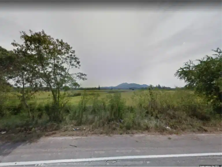 ขายที่ดิน 58ไร่ จ.ประจวบคีรีขันธ์ อ.สามร้อยยอด รูปที่ 5