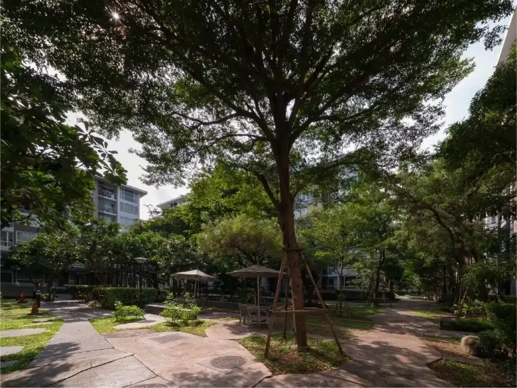 Elements Srinakarin : อิลีเม้นท์ ศรีนครินทร์ 52.75 ตร.ม. รูปที่ 17