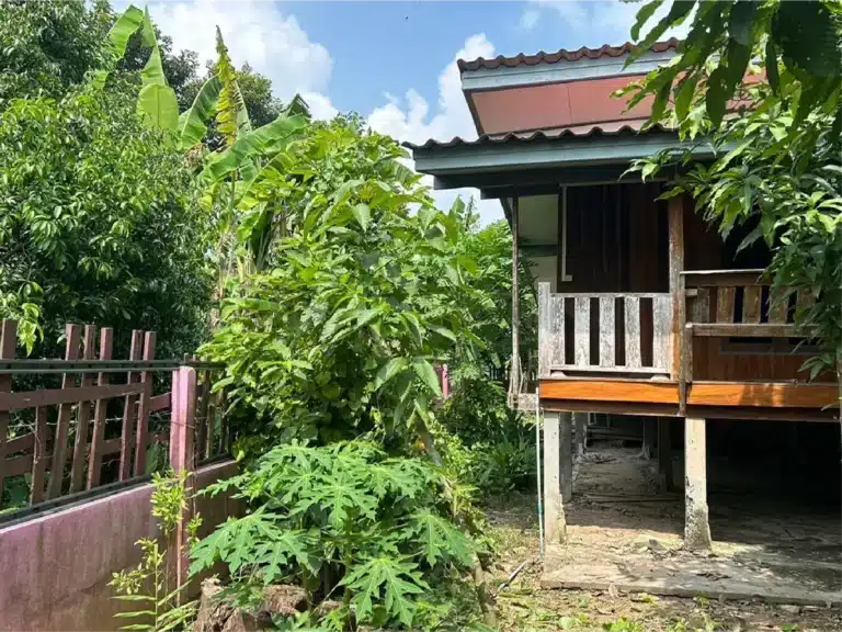 ขายบ้านเดี่ยว พร้อมที่ดิน 2 งาน 18.9 ตร.ว. โพทะเล พิจิตร รูปที่ 3