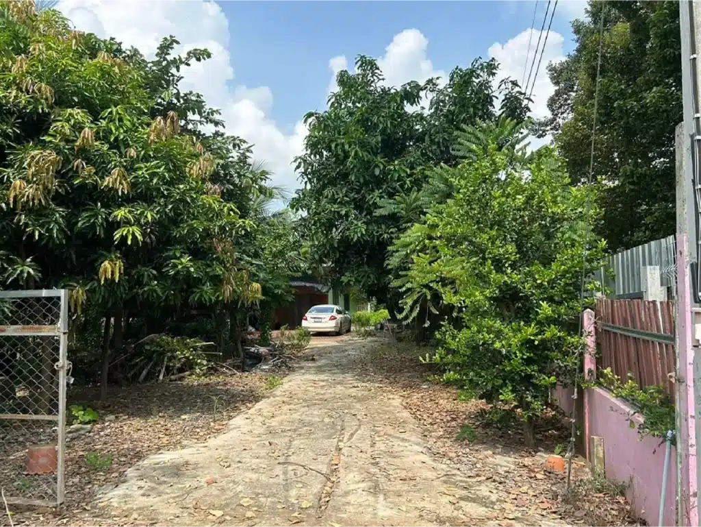 ขายบ้านเดี่ยว พร้อมที่ดิน 2 งาน 18.9 ตร.ว. โพทะเล พิจิตร รูปที่ 9