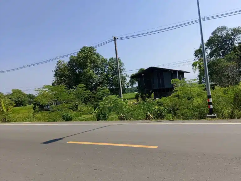 ขายที่ดิน 17 ไร่ 84 ตร.ว. ติดทางหลวงเพชรบูรณ์ รูปที่ 2