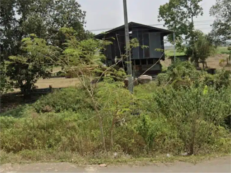 ขายที่ดิน 17 ไร่ 84 ตร.ว. ติดทางหลวงเพชรบูรณ์ รูปที่ 7