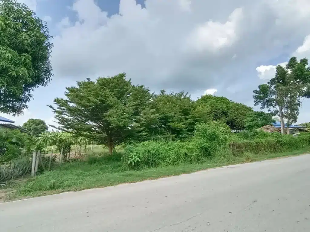 ขายที่ดิน 1-2-46 ไร่ ท่ายาง เพชรบุรี รูปที่ 2