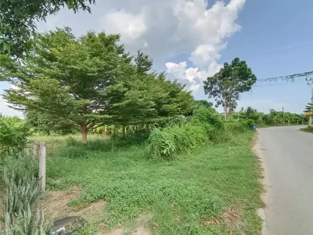 ขายที่ดิน 1-2-46 ไร่ ท่ายาง เพชรบุรี รูปที่ 3