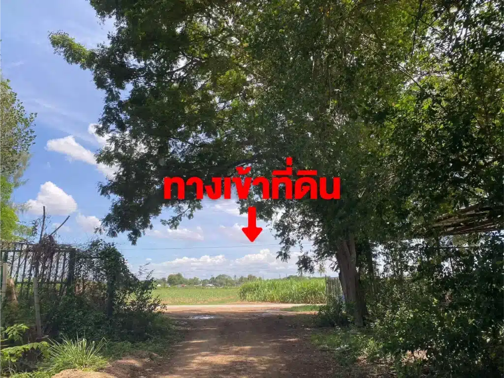 ขายที่ดิน 4 ไร่ นครปฐม กำแพงแสน รูปที่ 2