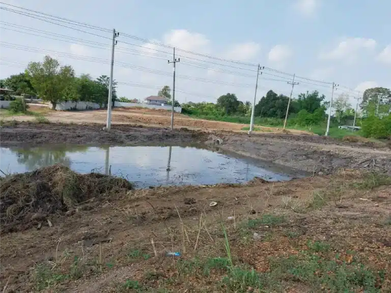 ขายที่ดิน 3 ไร่ สิงห์บุรี ติดถนน รูปที่ 3