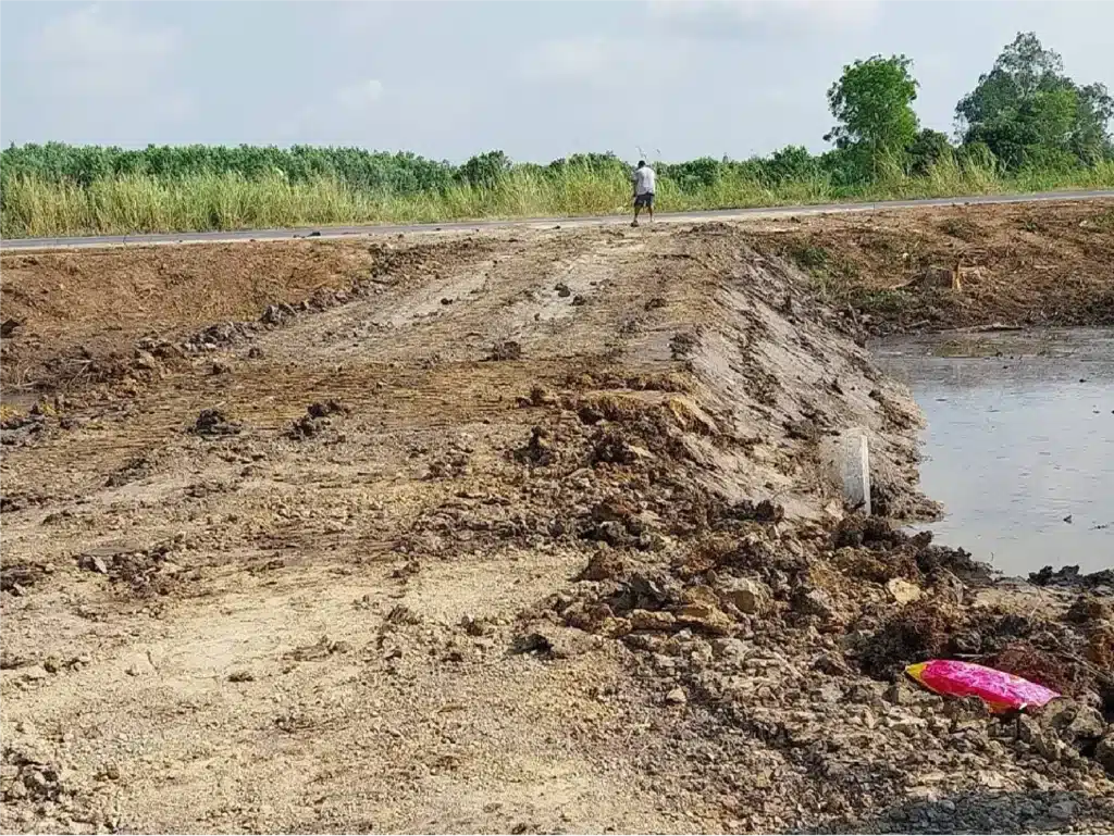 ขายที่ดิน 3 ไร่ สิงห์บุรี ติดถนน รูปที่ 6