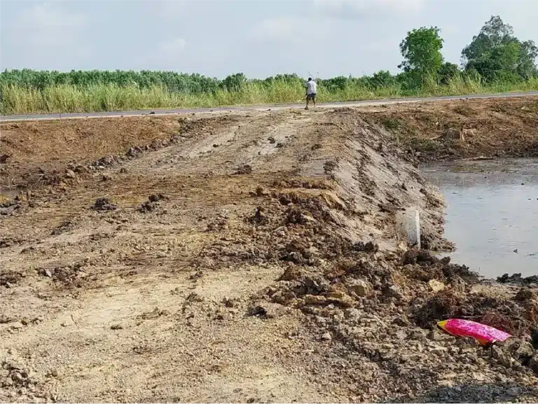 ขายที่ดิน 3 ไร่ สิงห์บุรี ติดถนน รูปที่ 6