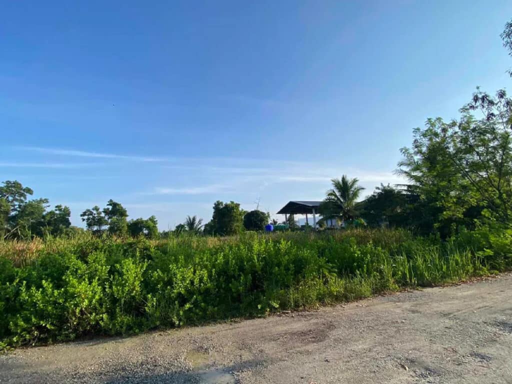 ขายที่ดิน คลองน้ำเค็ม แหลมสิงห์ จันทบุรี 15-1-12 ไร่ รูปที่ 7