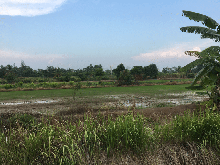 ขายที่ดิน 6-3-6 ไร่ ธัญบุรี ปทุมธานี รูปที่ 3