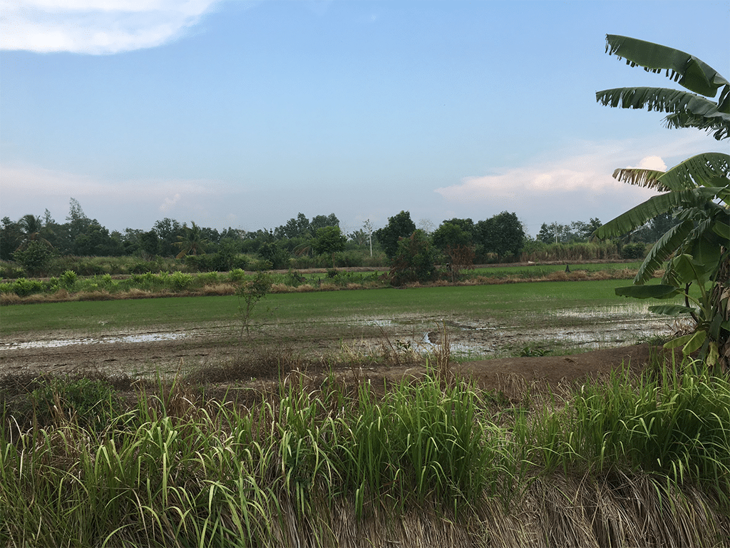 ขายที่ดิน 6-3-6 ไร่ ธัญบุรี ปทุมธานี รูปที่ 3