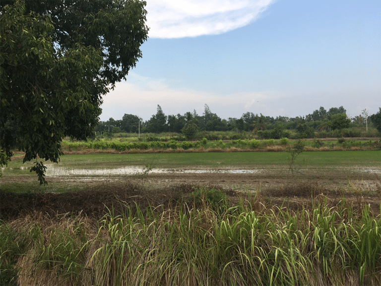 ขายที่ดิน 6-3-6 ไร่ ธัญบุรี ปทุมธานี รูปที่ 4