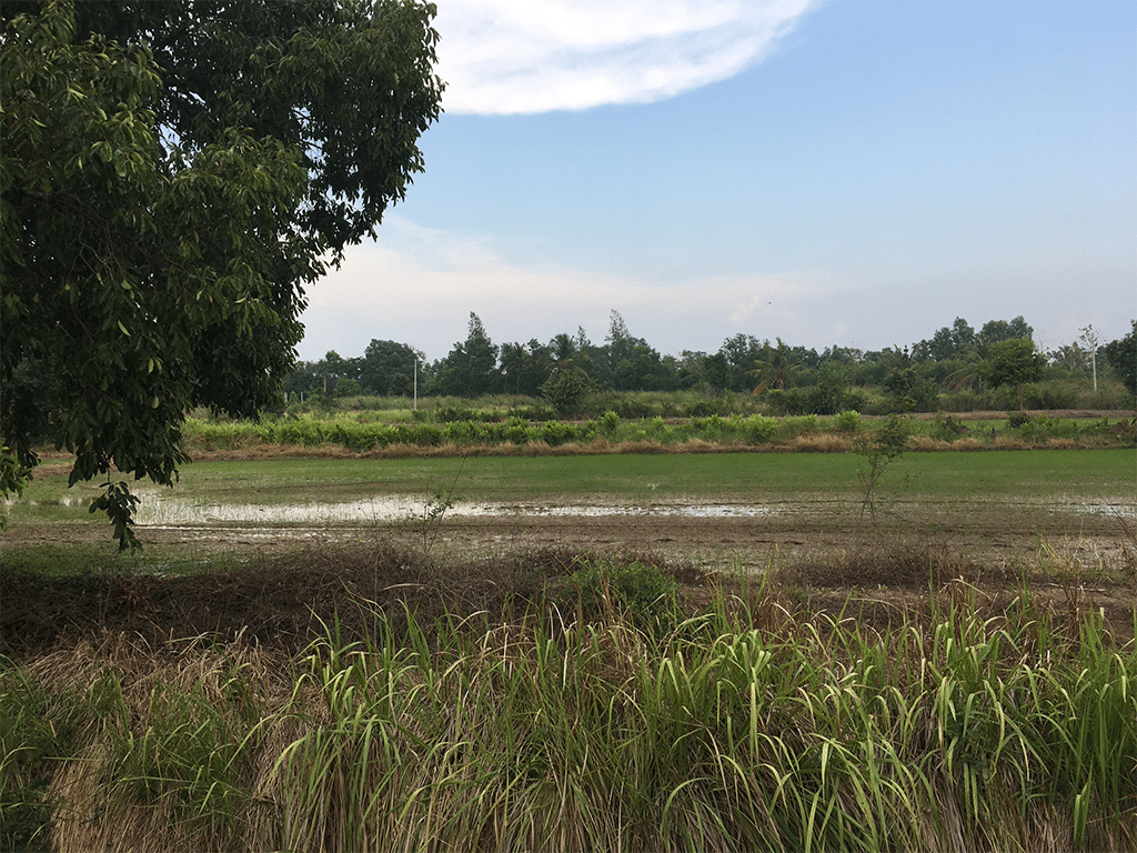 ขายที่ดิน 6-3-6 ไร่ ธัญบุรี ปทุมธานี รูปที่ 4