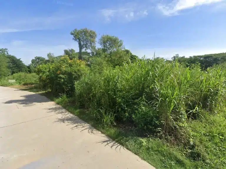 ขายที่ดิน 55 ตร.ว. เมืองนครสวรรค์ รูปที่ 4