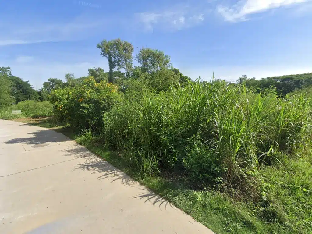 ขายที่ดิน 55 ตร.ว. เมืองนครสวรรค์ รูปที่ 4