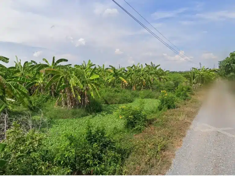 ขายที่ดิน 10 ไร่ หนองเสือ ปทุมธานี รูปที่ 4
