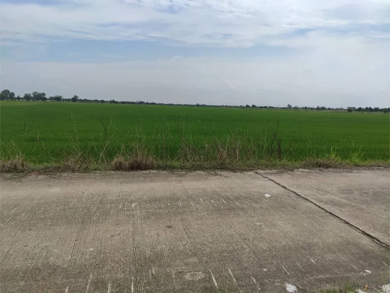 ขายที่ดิน 2-0-58 ไร่ บางบ่อ สมุทรปราการ รูปที่ 2