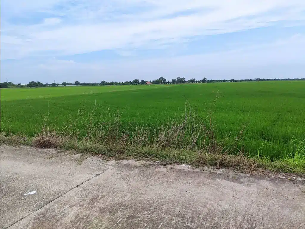 ขายที่ดิน 2-0-58 ไร่ บางบ่อ สมุทรปราการ รูปที่ 3