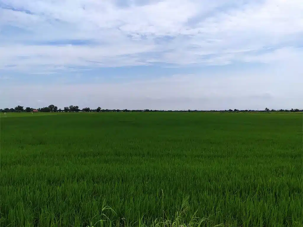 ขายที่ดิน 2-0-58 ไร่ บางบ่อ สมุทรปราการ รูปที่ 4