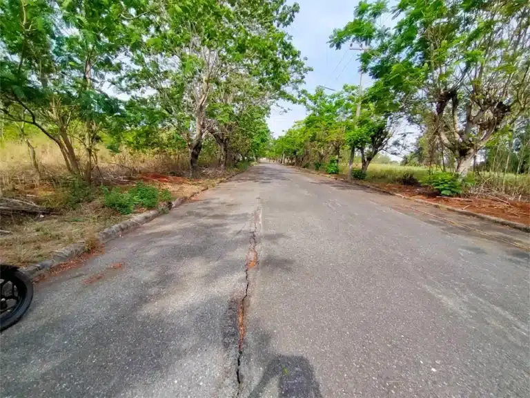 ขายที่ดิน 158.8 ตร.ว. หมู่บ้าน วิจิตราธานี ฉะเชิงเทรา รูปที่ 3