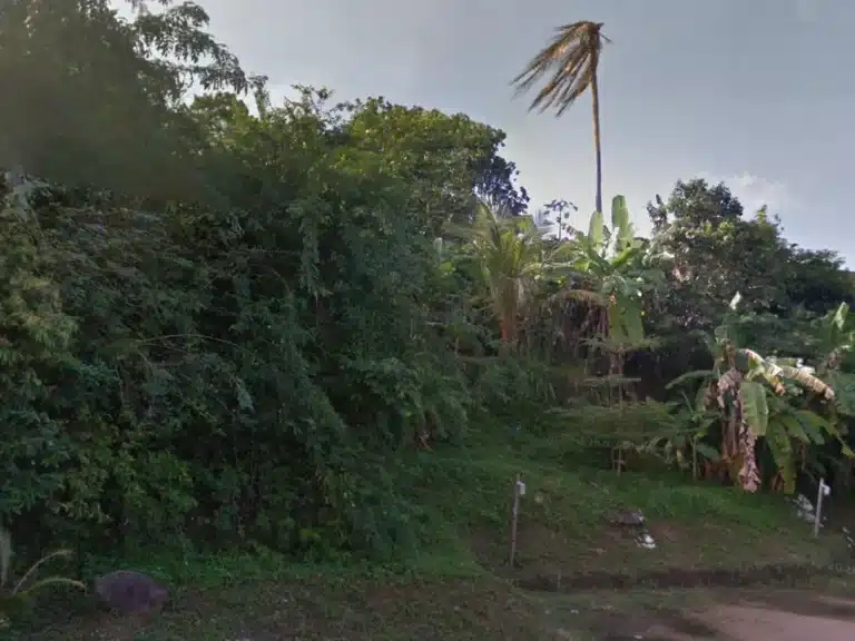 ขายที่ดิน เกาะสมุย สุราษฎร์ธานี รูปที่ 2
