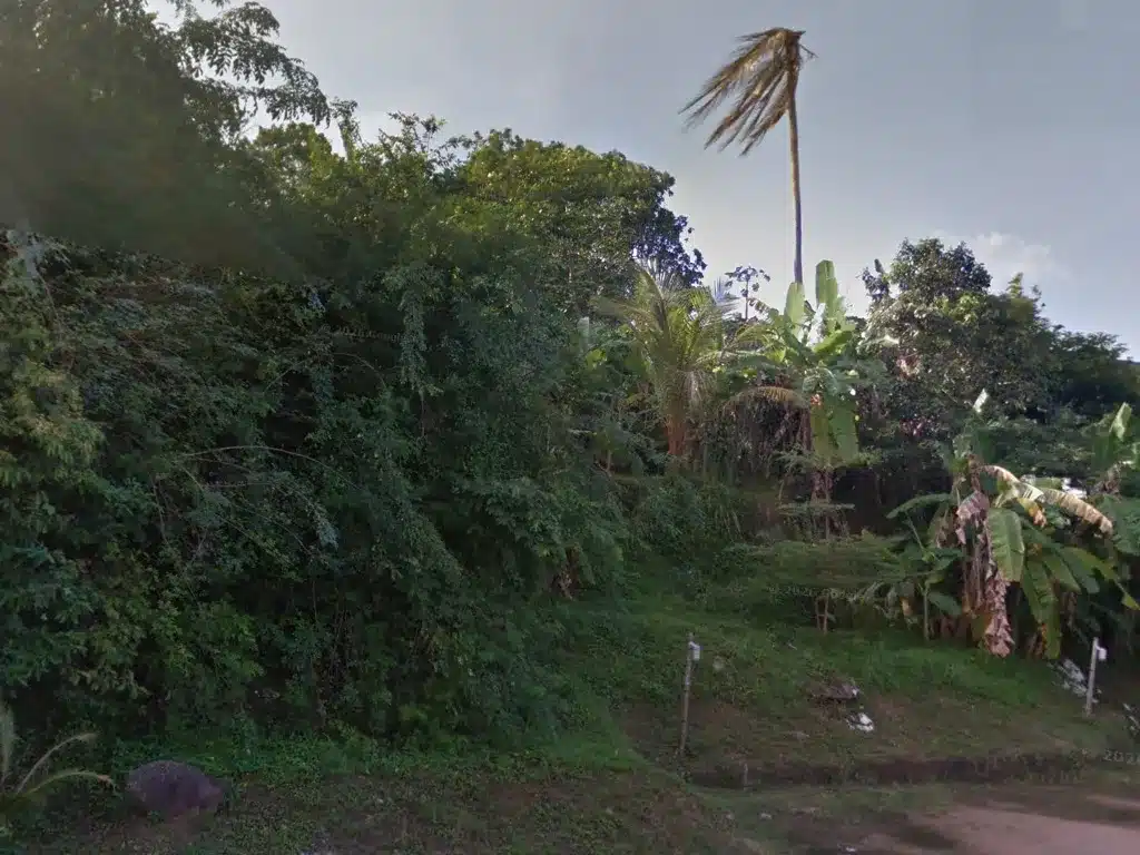 ขายที่ดิน เกาะสมุย สุราษฎร์ธานี รูปที่ 2
