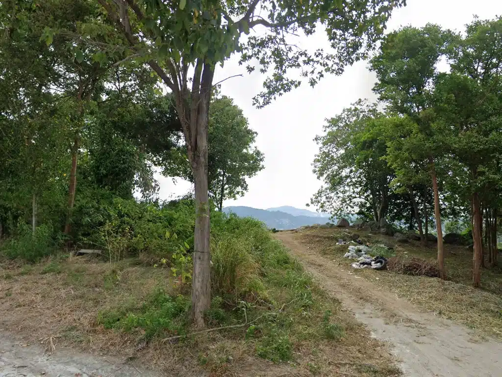 ขายที่ดิน เกาะสมุย สุราษฎร์ธานี รูปที่ 3