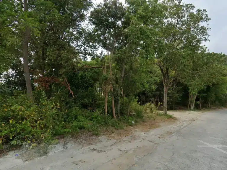 ขายที่ดิน เกาะสมุย สุราษฎร์ธานี รูปที่ 4