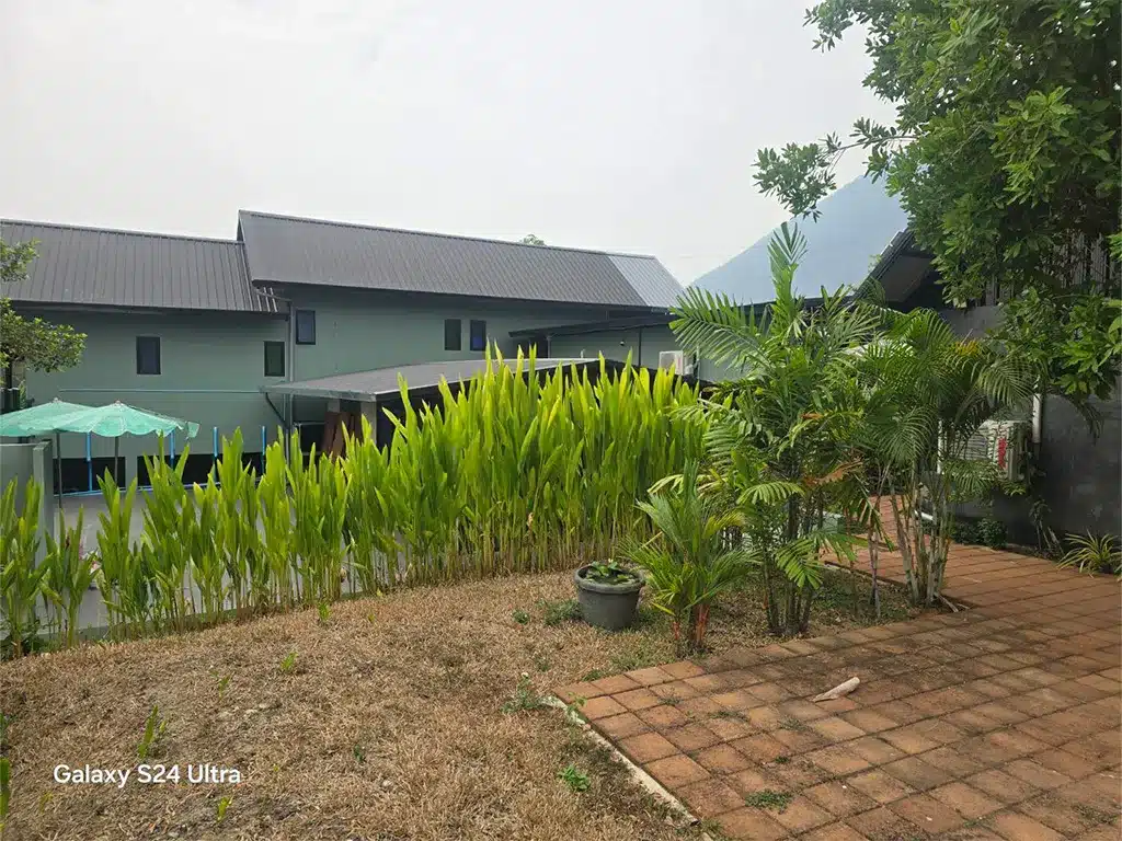 ขายที่ดิน+สิ่งปลูกสร้าง 2-2-18 ไร่ เชียงดาว เชียงใหม่ รูปที่ 21