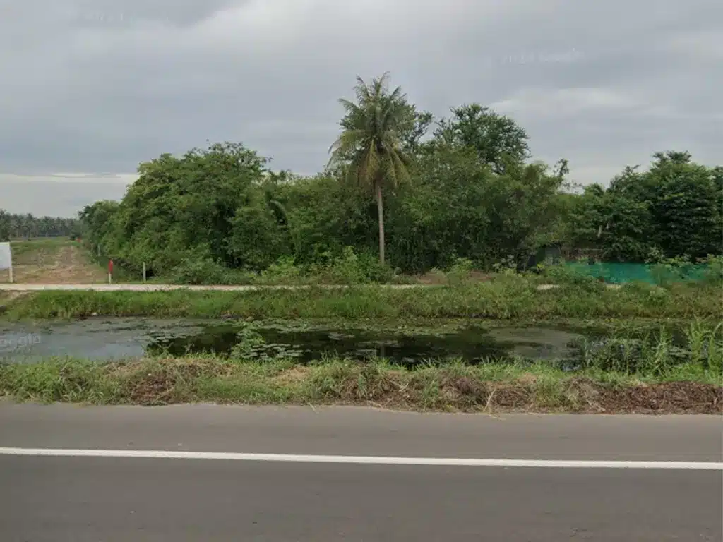 ที่ดิน 2 แปลง 15 ไร่ บ้านแหลม เพชรบุรี รูปที่ 5